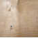 Rizon Chrome Shower Head with Handle and Posi-Temp