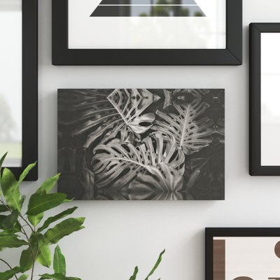 " Moody Palm Leaves "