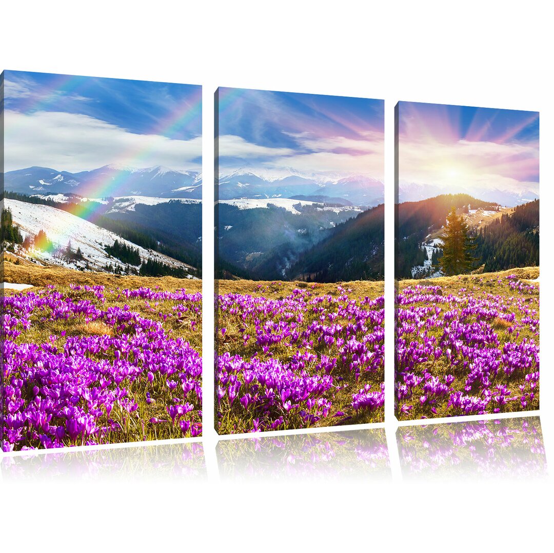 3-tlg. Leinwandbilder-Set Schneebedeckte Berglandschaft mit Regenbogen und blühenden Krokussen, Fotodruck