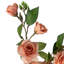 Annegrete Arrangement