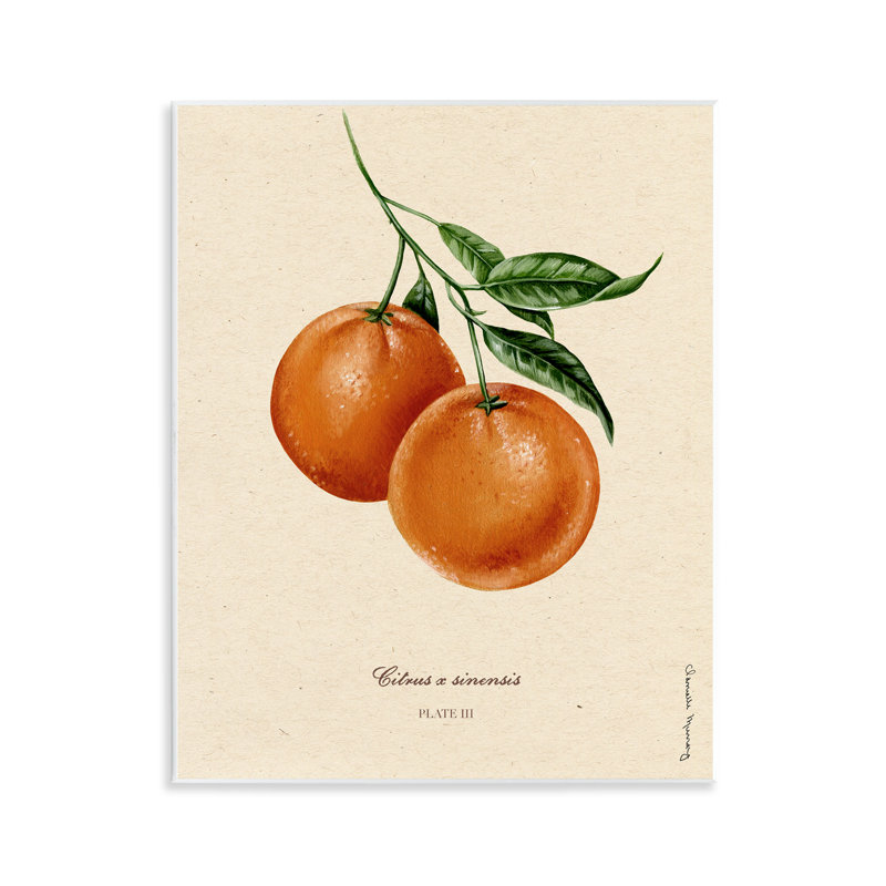 Orange Fruit Portrait Wall Plaque, design by Danielle Murray
