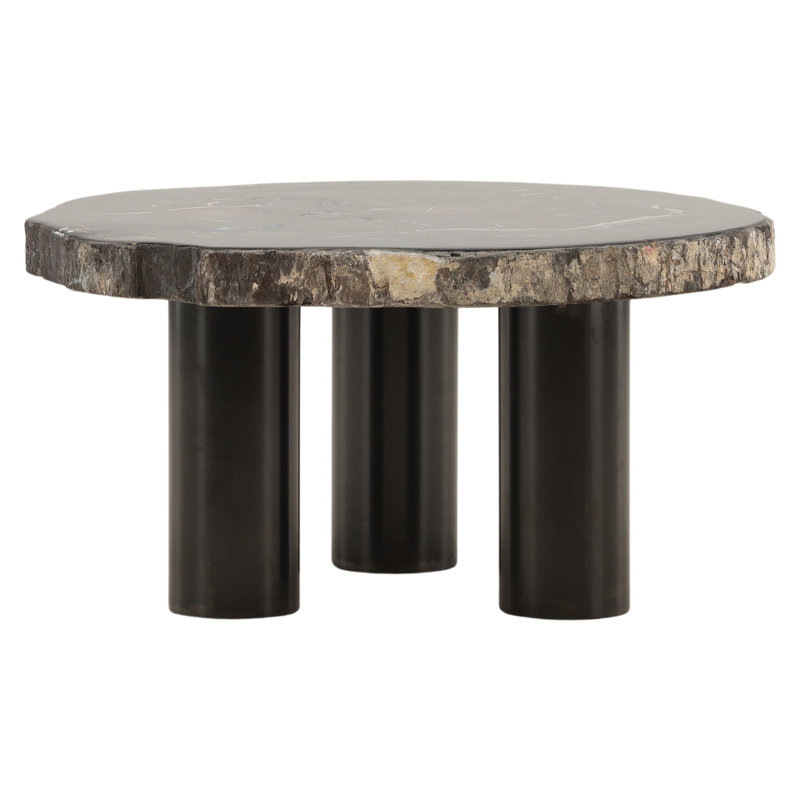 Table basse Darnell Petrified, H 16 po x L 30 po x l 31,5 po