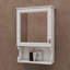 Armoire de rangement de salle de bain murale 20 po avec miroir-526164988