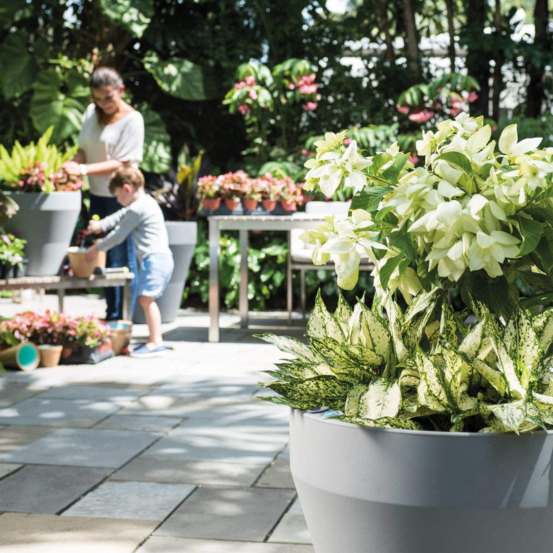 TruDrop Rim Modern Self Watering Plant Pot, Alpine White, 30" H x 30" W x 30" D