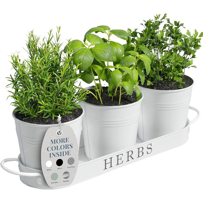 Designs Indoor Herb Garden Planter Set With Tray, Metal Windowsill Plant Pots With Drainage For Outdoor Or Indoor Plants, Set/3 (Black)