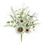 Mélange de tournesols blancs (ensemble de 2)