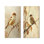 Curious Sparrow I - Birds, impression murale 2 pièces en métal
