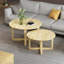 Ajinkya coffee table