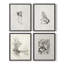 Croquis rétro, impression encadrée XCII - ensemble de 4-916891793-916891796