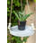 Koeppe Ceramic Hanging Planter