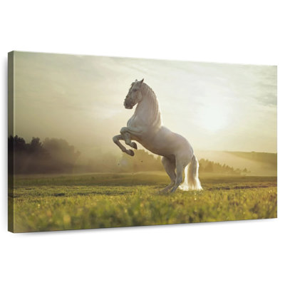 Brampt Regal White Horse