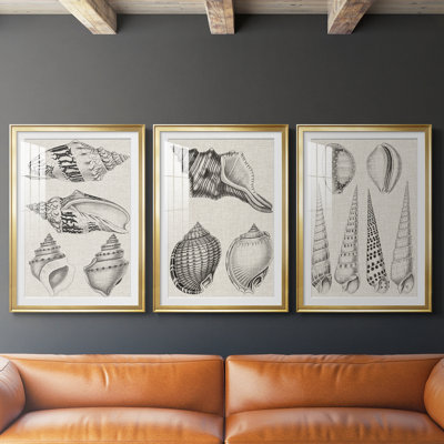 Charbon de bois et coquilles de lin IV - Impression encadrée sur mesure de qualité supérieure - 3 pièces