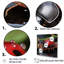 «Lactive Ladybug Reflections I», reproduction sur toile-656844543-656844519