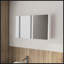Pharmacie avec miroirs inclus et 2 portes-1199804260