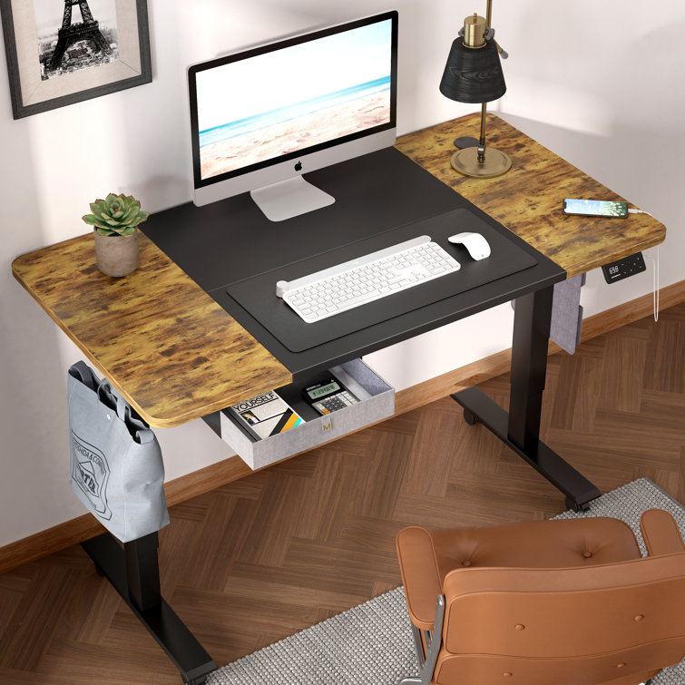 Erminda Height Adjustable Standing Desk with Accessories Inbox Zero Color: Black, Size: 46.4 H x 55'' W x 28'' D