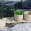 Ensemble de pots à fleurs 3 pièces avec plateau Brawner-1644657763
