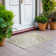 Leis Abstract Indoor Rug