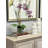 Orchid Arrangement in Glass Vase