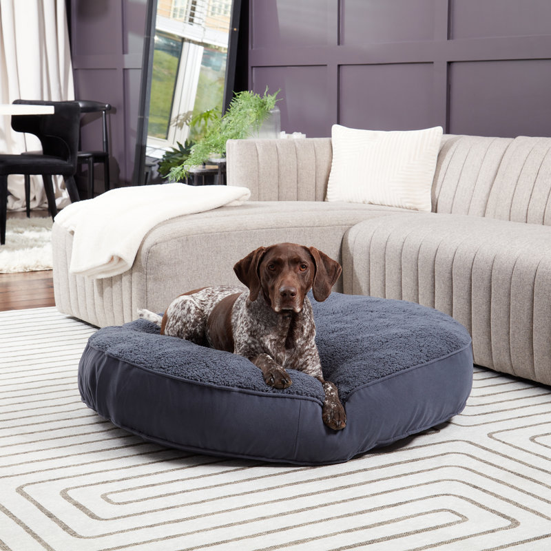Lit pour chien Alyzae, Grand (l 42 po x P 42 po x H 6 po), Acier bleu