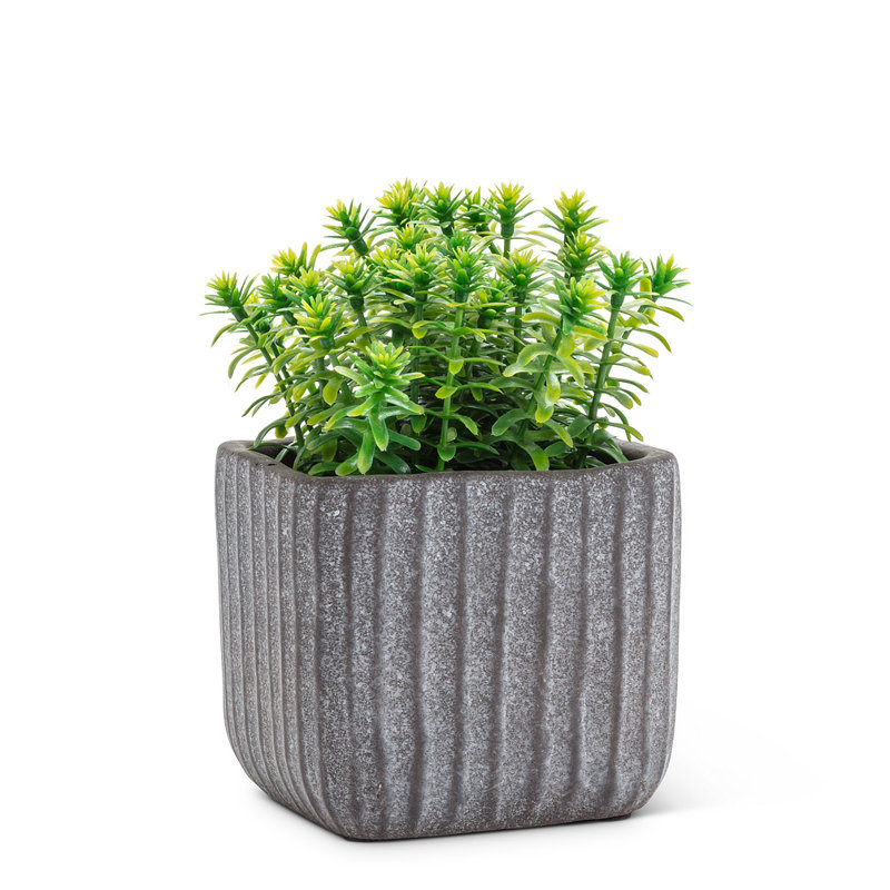 Planter Box, Gray, 3.5" H x 3.5" W x3.5" D