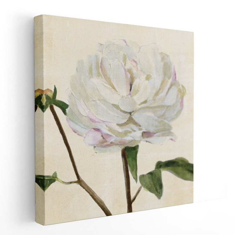 Peony in Bloom I - reproduction d'art sur toile, H 24 po x l 24 po