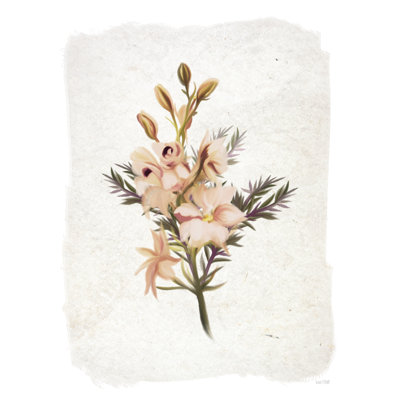 Weathered Snapdragons