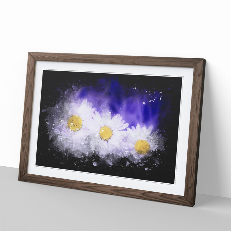 Three White Daisies Paint Splash - Picture Frame Graphic Art, 27cm H x 36cm W x 2cm D, Walnut