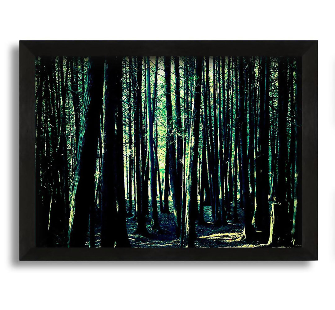 Gerahmtes Leinwandbild Emerald Green Woodland