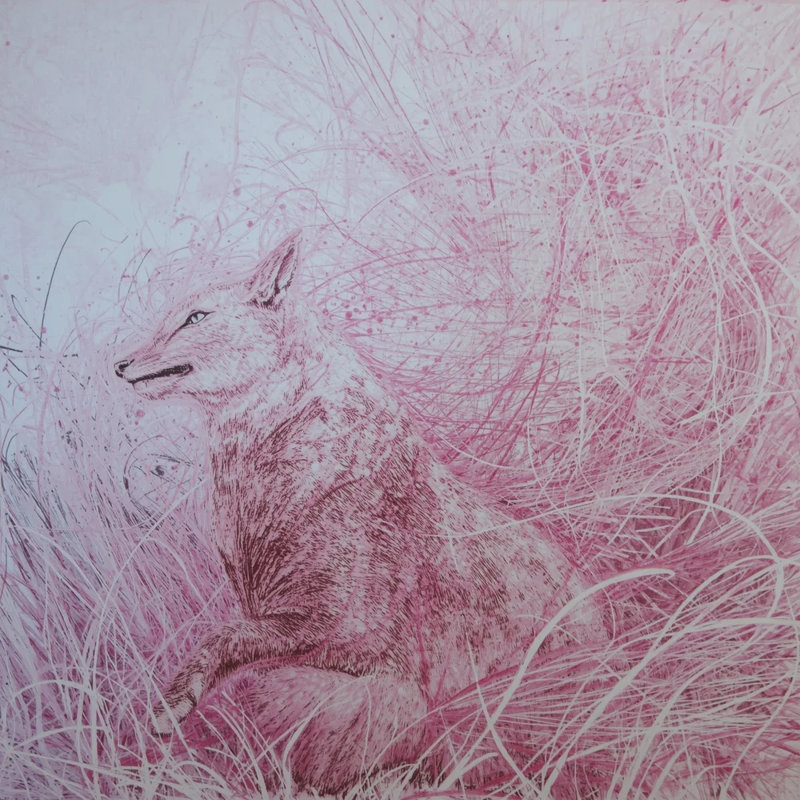 Wild Blush