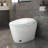 Intelligent One-piece Toilets With Bidet, Ceramic Design, Ideal For Modern Home