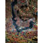 Oriental 150cm X 225cm Area Rug-87904011