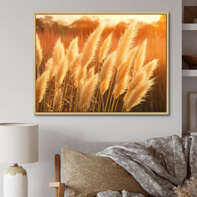 «White Pampas Meadows At Sunset» sur toile