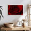 Rose rouge Saint-Valentin-1316657761-1316657762