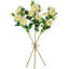 Jets de roses-86731922