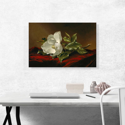 " A Magnolia On Red Velvet 1885 " by Martin Johnson Heade Painting Print