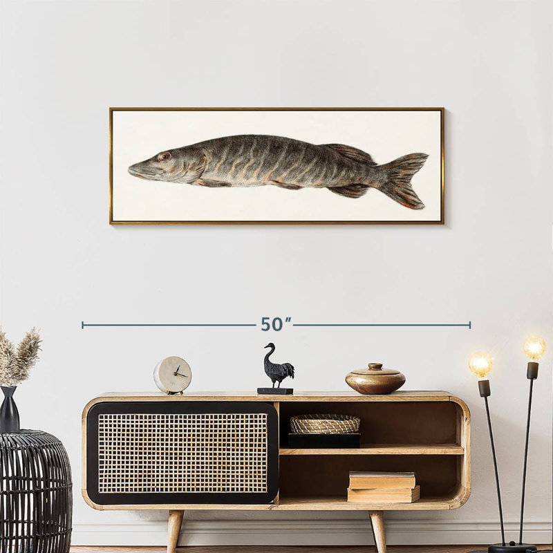 Brochet, 43 po x 15 po, Floating Frame Gold