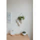 Trigg Wall Décor