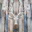 Christmas Figurines & Collectibles-364553569-364553570