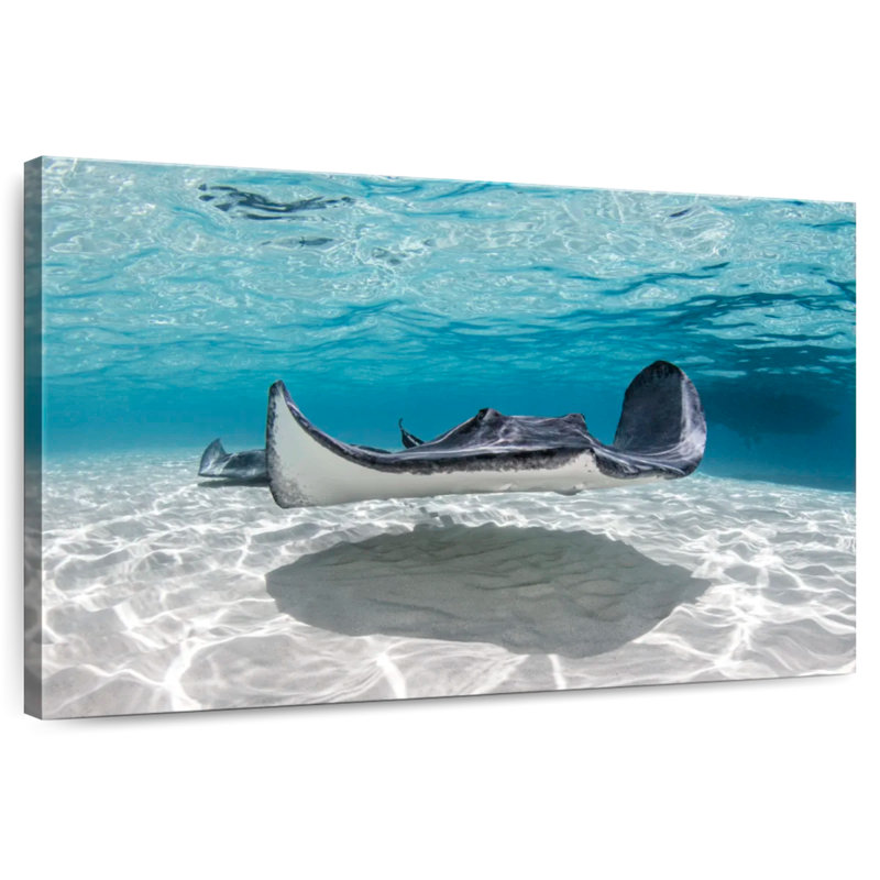 Crowle Cayman Palms Stingray, H 20 po x l 30 po