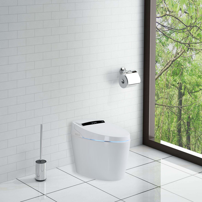 Wall Mount Bidet