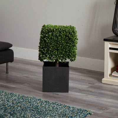 Plante buis artificielle en pot de fleurs
