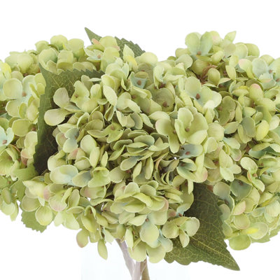 Hydrangea Floral Arrangement