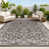 Rectangle 6' x 9' is out of stock selected