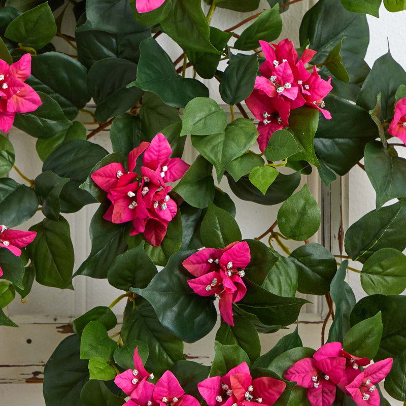Floraison artificielle, Beauté