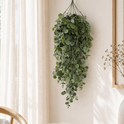 75 Plant