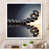 White Single Picture Framed