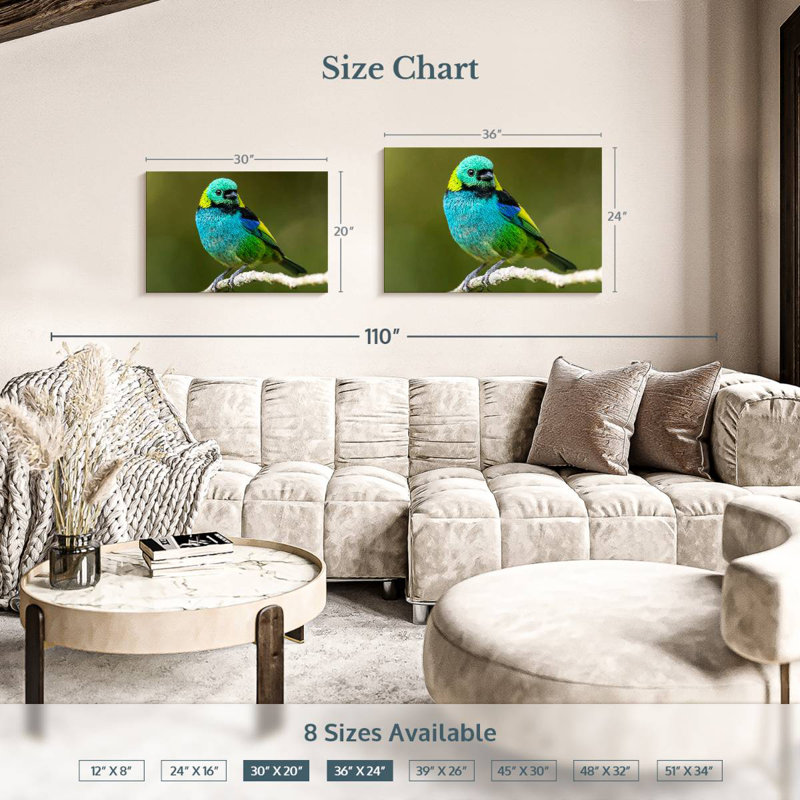 Brampt Green Headed Tanager, 20" H x 30" W