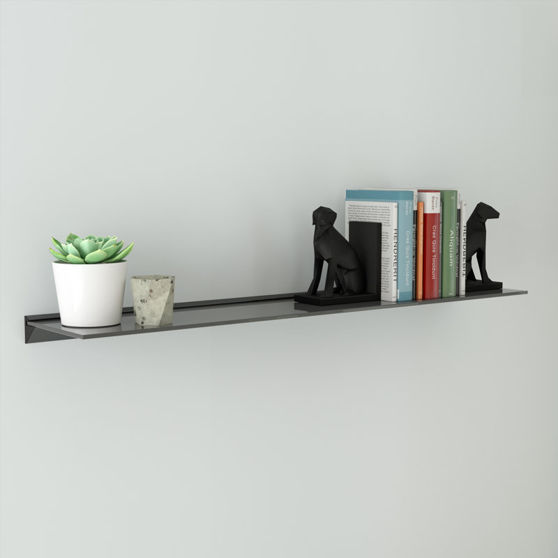 Reeana Metal Wall Mounted Shelving Unit, 5.5cm H x 120cm W x 25cm D
