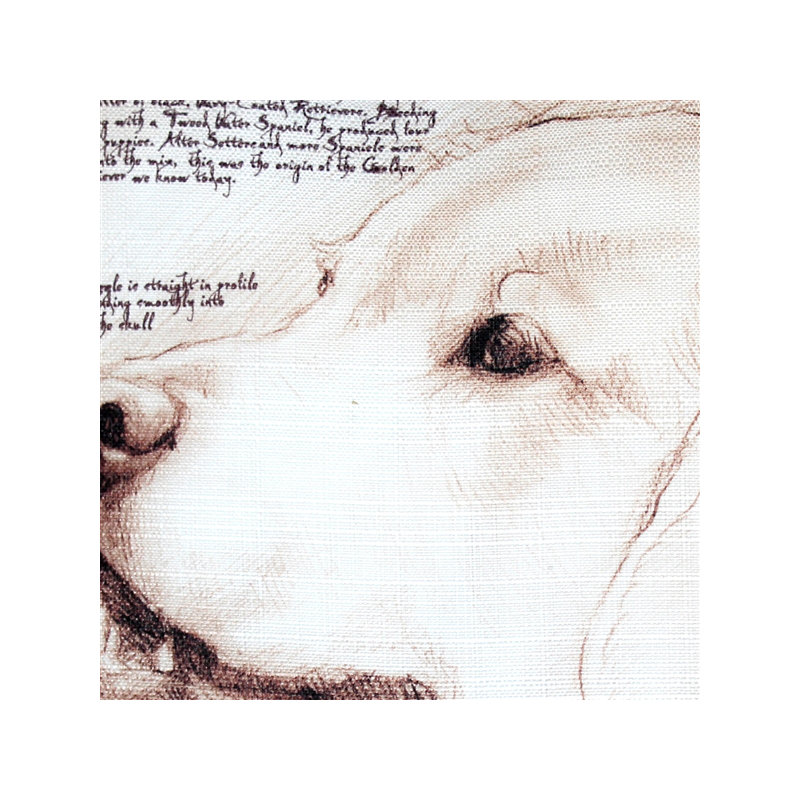  Golden Retriever Dog Indoor/Outdoor Throw Pillow