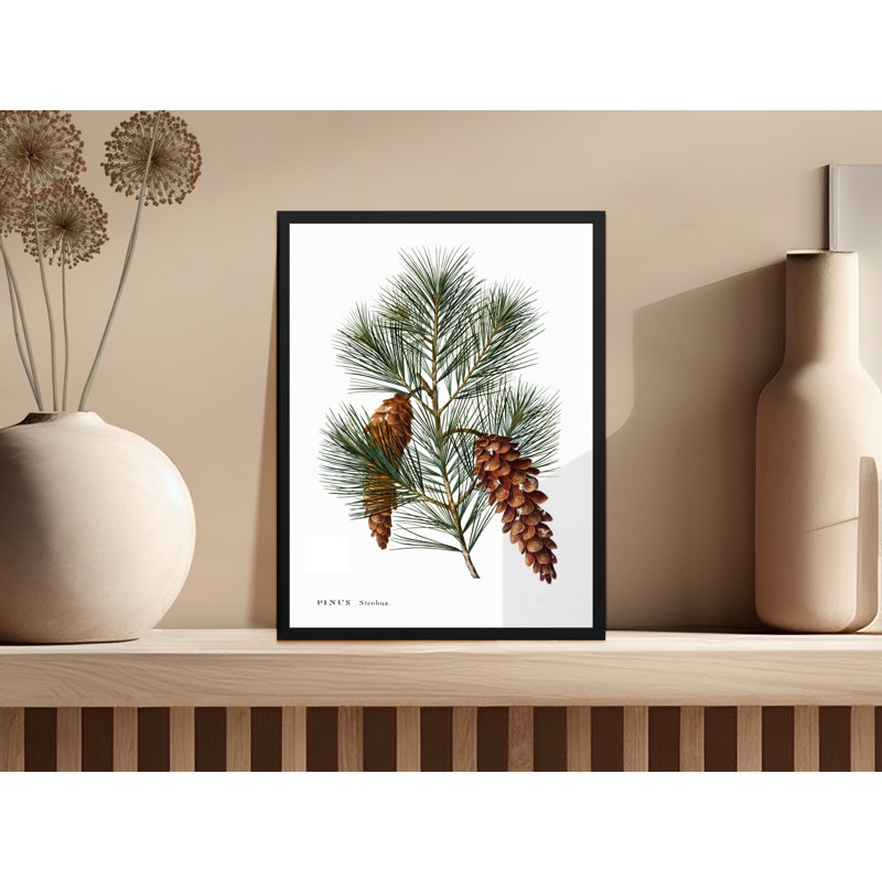 Donna No Frame Print, 9x11